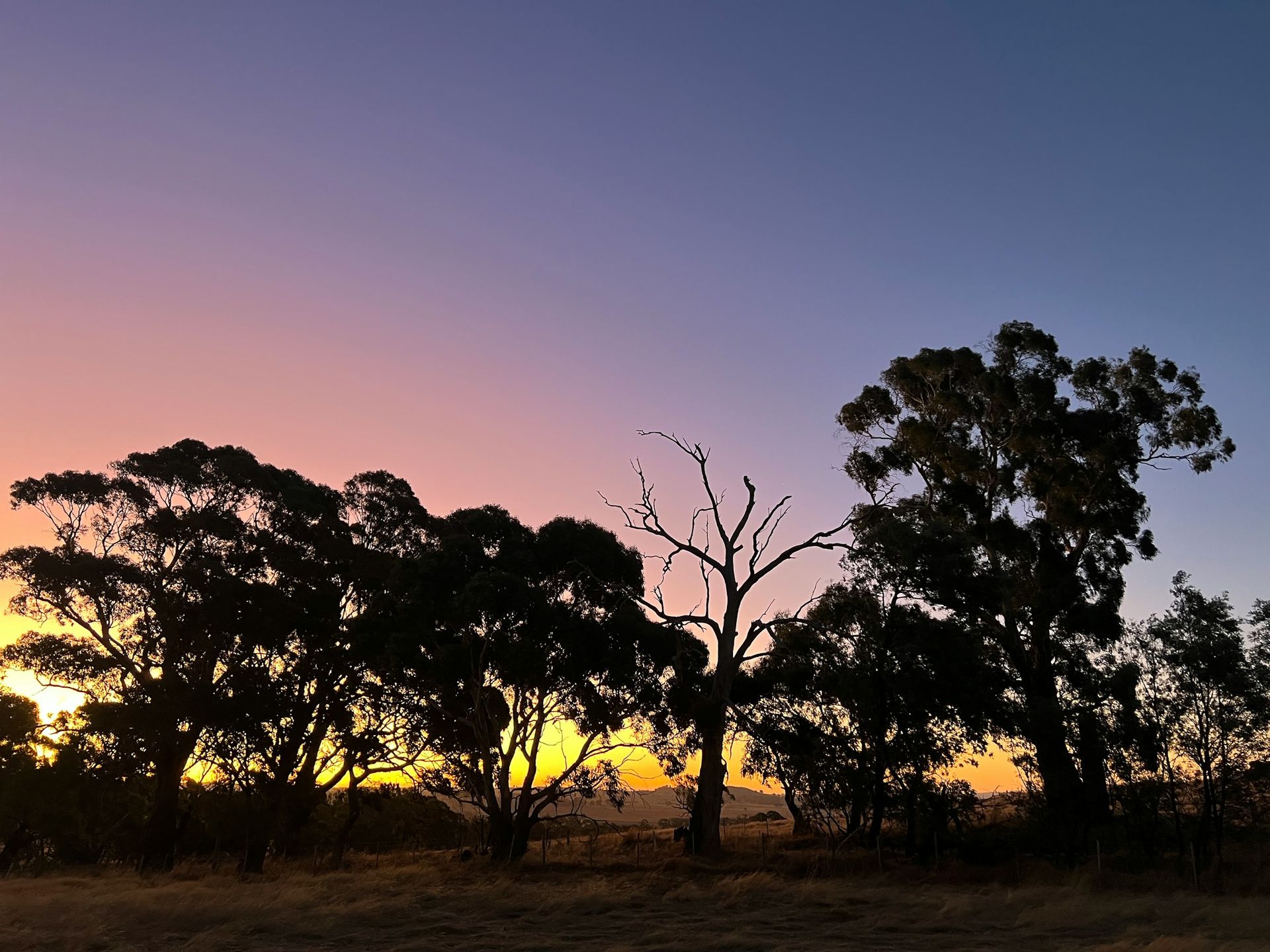 Hiking trail Western Australia
