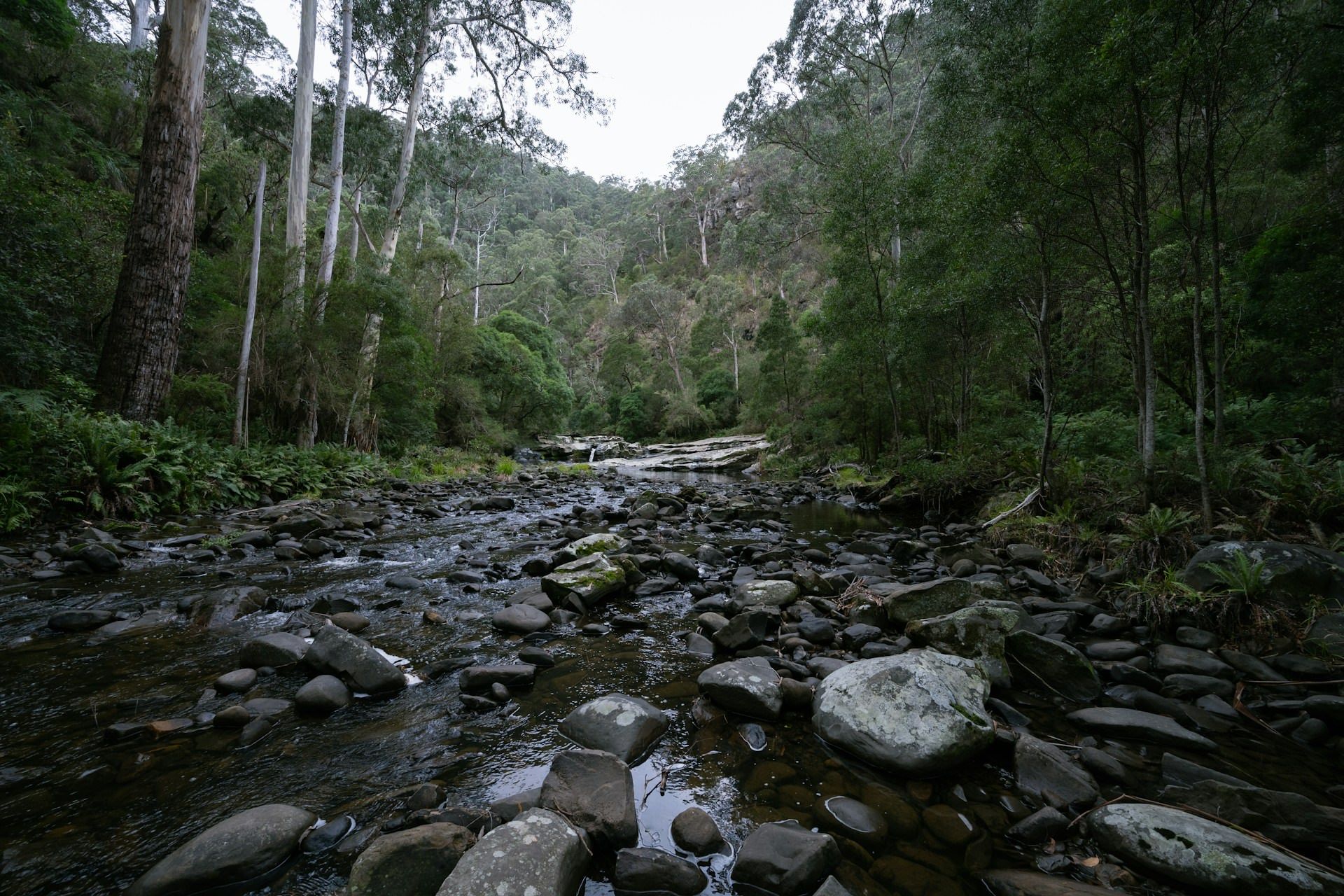 Western Australian landscape