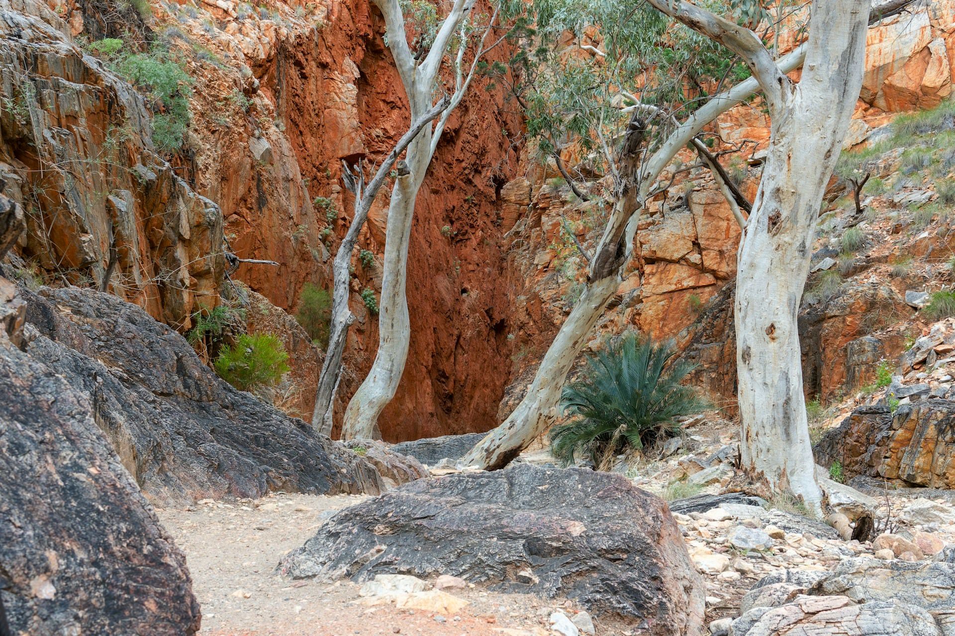 Outdoor scenery Western Australia